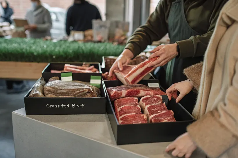 Healthy grass-fed cattle at farmers market with customers shopping